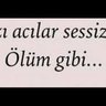 Yıldız Dedeoğlu's profile picture