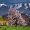 Фото профиля Suhail Dar