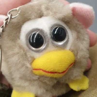 Mepo's profile picture