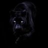 black panther's profile picture