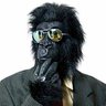 Gorilla Mask Guy's profile picture