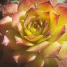 Фото профиля William Richter