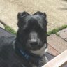 Jdubbs's profile picture