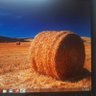 Kevin liu's profile picture