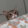 Ary* 的头像
