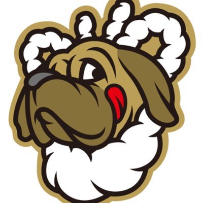 fightingdogs_dk's profile picture