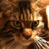Profilbild von Gary VP