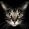 Фото профиля Tina Beckler