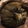 Charlie Farley's profile picture