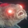 Name's profile picture