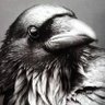 Crow Reaper 的头像