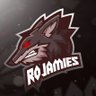 Rojamies profil fotoğrafı