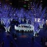 Фото профиля しんしん