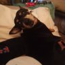 Bobskie93's profile picture