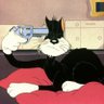 Vato Meow profil fotoğrafı