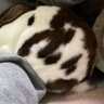 みかんみかん🐇 profil fotoğrafı