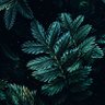 Фото профиля Mr Nice guy
