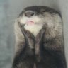 Profilbild von こ梅