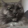 Zabuj profil fotoğrafı