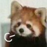 Profilbild von 猫爪爪