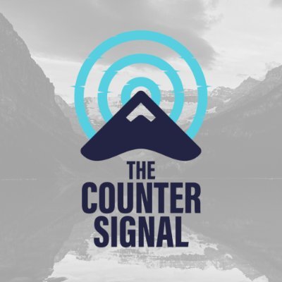 TheCounterSgnl's profile picture