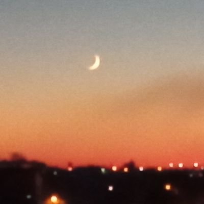 Pedro's profile picture