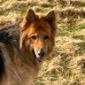GarethI profil fotoğrafı