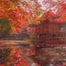 Фото профиля 史帝文