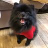 AKIKO's profile picture