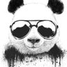 💢💢霹雳's profile picture