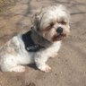 Profilbild von Shazza 59