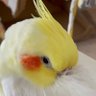 丸竹ゆみ profil fotoğrafı