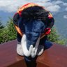 愛山敬山's profile picture