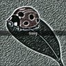 Profilbild von 安眠豆腐