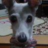 りさぽん profil fotoğrafı