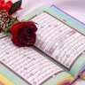 بنت عدن profil fotoğrafı