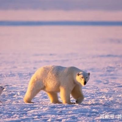 buxunchangdenv's profile picture