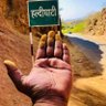 desh bhakt's profile picture