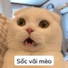 Фото профиля HoHo