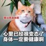 Profilbild von 慕容逍遥