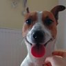 Profilbild von Django