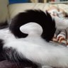 Kat-eee's profile picture