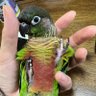 はるちゃ 的头像
