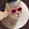 にゃんこ食堂 profil fotoğrafı