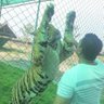 Yusuf Khan's profile picture