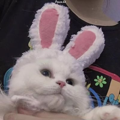 𝓗𝓪𝓵𝔂𝓷𝓷𝓲𝓮𝓮🥀's profile picture