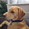🌟 vaali-uk💥💥💥💥 profil fotoğrafı