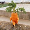 Profilbild von バカにんじん