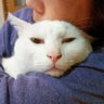 e.miko profil fotoğrafı