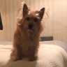 Paddy8 profil fotoğrafı
